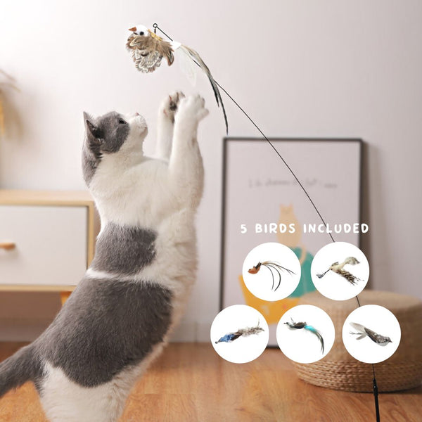 Chirpy Chase - Interactive Bird Cat Toy